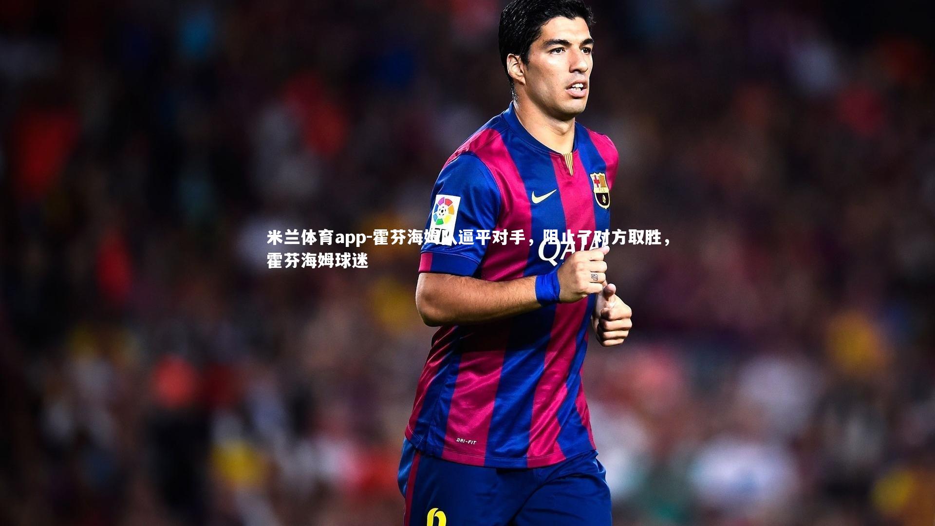 霍芬海姆队逼平对手,阻止了对方取胜,霍芬海姆球迷